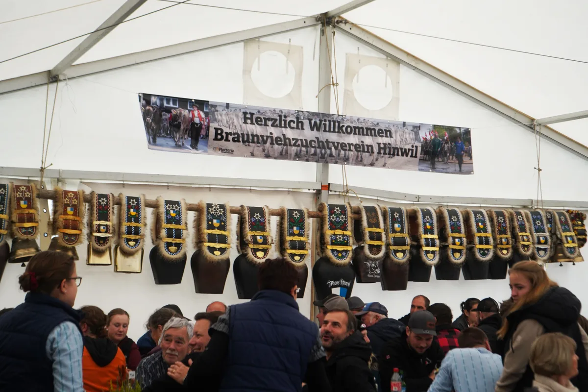 Zu gewinnen gibt es meistens einen Blumenstrauss oder eine Kuhglocke, die so genannte Trycheln. Landwirte und Kühe an der Viehschau Hinwil